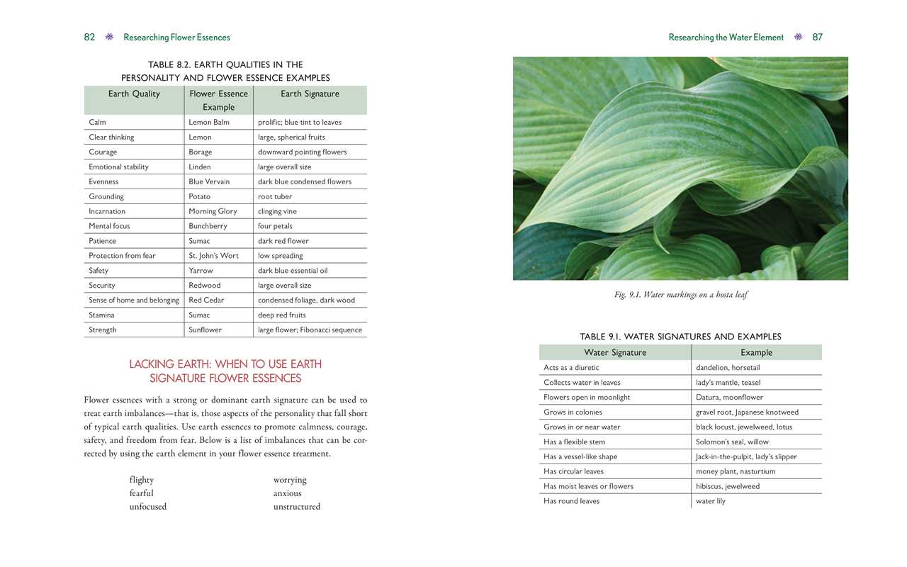 Advanced Flower Essence Healing - Image 2