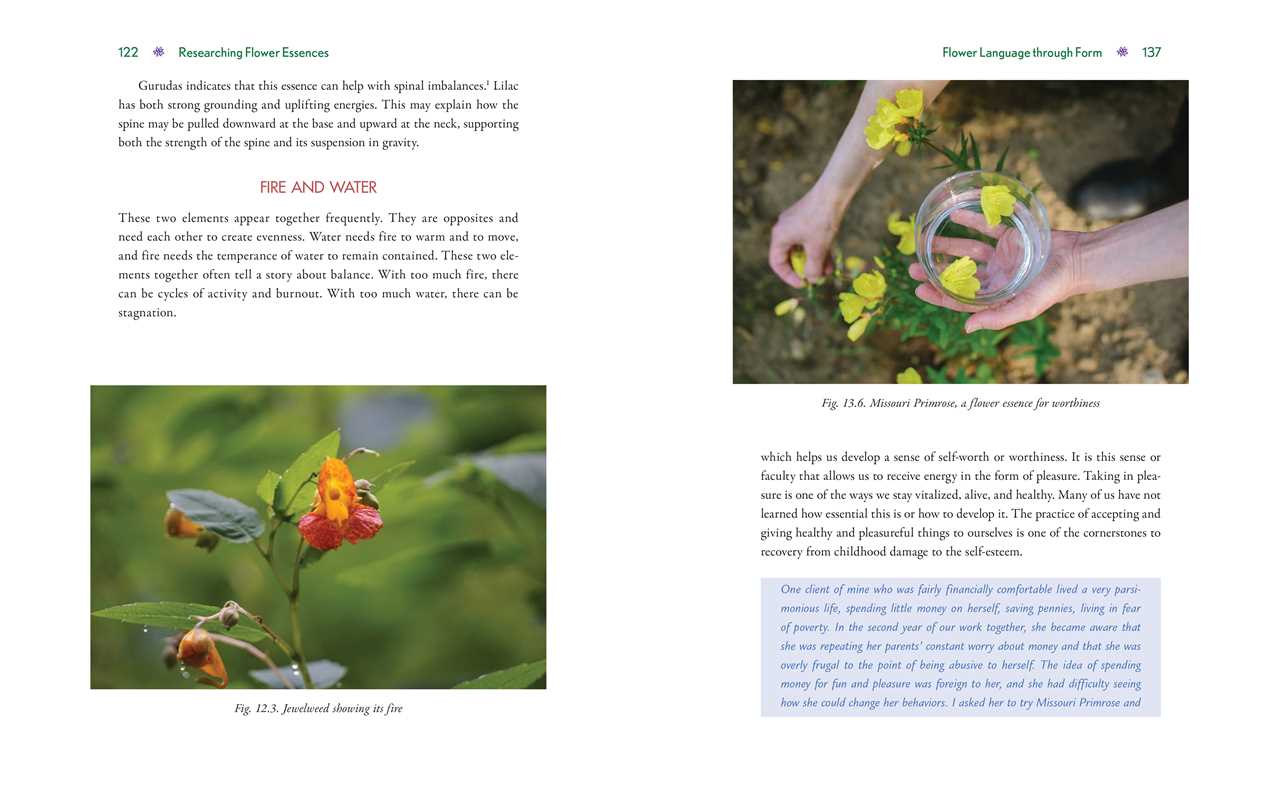Advanced Flower Essence Healing - Image 3