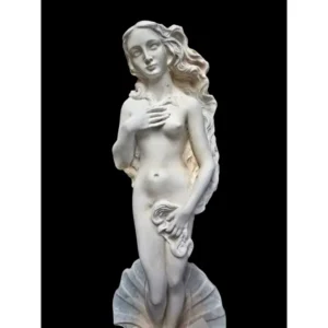Aphrodite Rising from the Sea