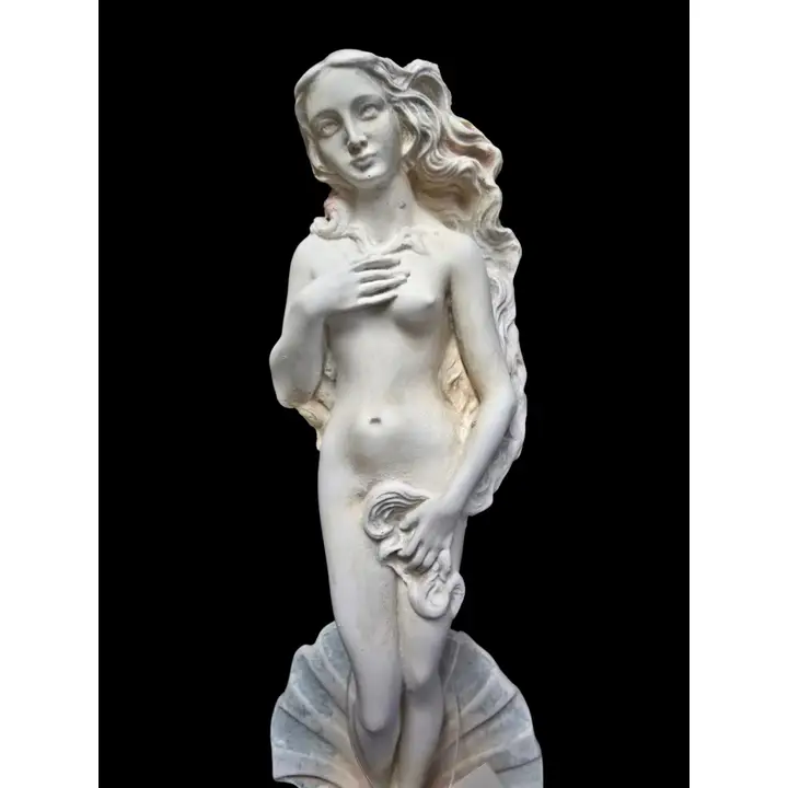 Aphrodite Rising from the Sea