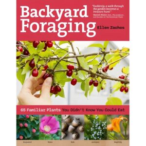 Backyard Foraging by Ellen Zachos