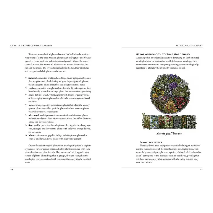 Green Witch's Garden - Image 2