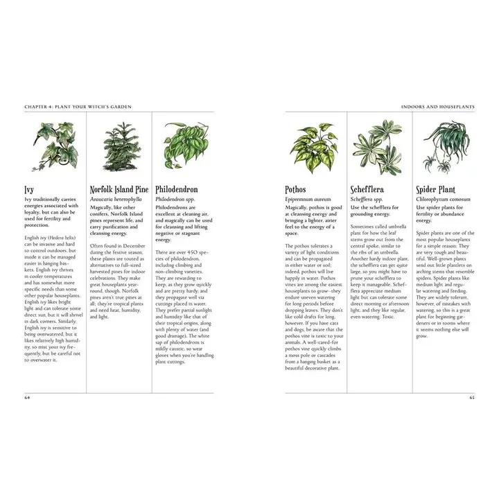 Green Witch's Garden - Image 4
