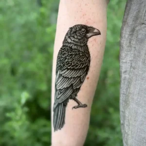 NatureTats Temporary Tattoos - Raven